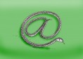 /album/gag-cartoons/hadmail-jpg/
