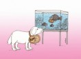 /album/gag-cartoons/rum-f-jpg1/