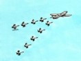 /album/gag-cartoons/pol16-jpg/