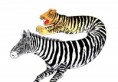/album/gag-cartoons/tigerazebra-jpg/