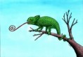 /album/gag-cartoons/chameleon-jpg/